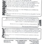 Black text and outlined boxes float on a white background detailing event details; Included in the address in larger block lettering and three boxes labelled "Pourquoi?" "Quand" and "Porque" encircling text in accompanying languages; email information is included in a separate footer